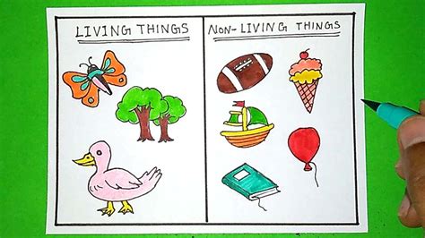 draw living things and non-living things|The difference between living and non.